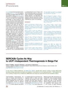 SERCA2b-Cycles-Its-Way-to-UCP1-Independent-Thermogenesis-i_2018_Cell-Metabol