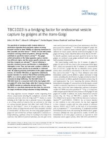ncb3627-TBC1D23 is a bridging factor for endosomal vesicle capture by golgins at the trans-Golgi