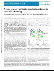nchembio.2461-A toxic mutant huntingtin species is resistant to selective autophagy