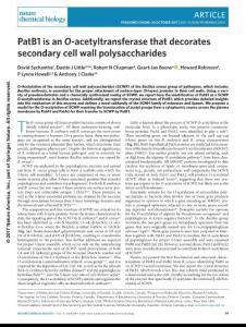 nchembio.2509-PatB1 is an O-acetyltransferase that decorates secondary cell wall polysaccharides