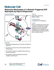 Molecular-Mechanism-of-J-Domain-Triggered-ATP-Hydrolysis-by-_2018_Molecular-