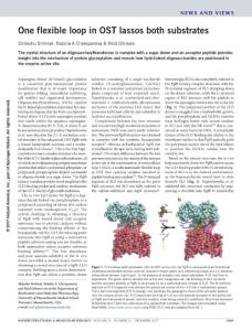 nsmb.3508-One flexible loop in OST lassos both substrates