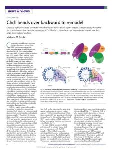 nsmb-2018-Chd1 bends over backward to remodel