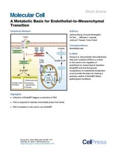 A-Metabolic-Basis-for-Endothelial-to-Mesenchymal-Transiti_2018_Molecular-Cel