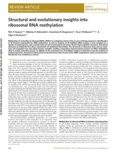 nchembio.2569-Structural and evolutionary insights into ribosomal RNA methylation