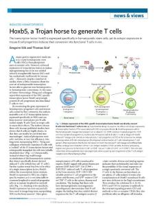 ni2018-Hoxb5, a Trojan horse to generate T cells