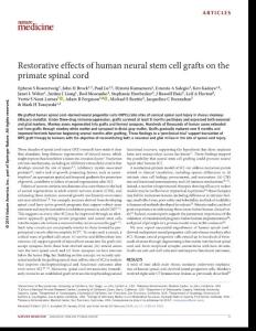 nm.4502-Restorative effects of human neural stem cell grafts on the primate spinal cord