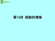 2011届高中生物一轮复习 第13讲 细胞的增殖课件