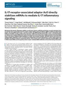 ni.2018-IL-17-receptor-associated adaptor Act1 directly stabilizes mRNAs to mediate IL-17 inflammatory signaling