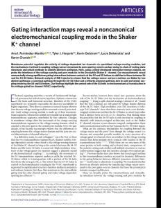 nsmb.2018-Gating interaction maps reveal a noncanonical electromechanical coupling mode in the Shaker K+ channel