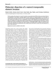 Genome Res.-2018-Kofler-Molecular dissection of a natural transposable element invasion