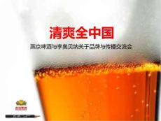 燕京啤酒品牌推广案例分析