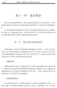 迷宫式密封