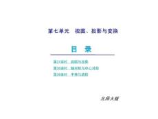 2010届中考数学复习课件：第七单元 视图、投影与变换