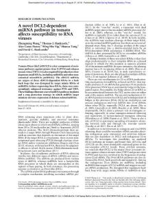 Genes Dev.-2018-Wang-A novel DCL2-dependent miRNA pathway in tomato affects susceptibility to RNA viruses