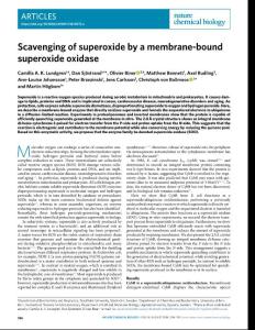 nchembio.2018-Scavenging of superoxide by a membrane-bound superoxide oxidase