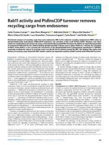 nchembio.2018-Rab11 activity and PtdIns(3)P turnover removes recycling cargo from endosomes