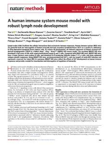 nmeth.2018-A human immune system mouse model with robust lymph node development