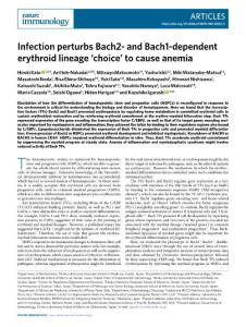 ni.2018-Infection perturbs Bach2- and Bach1-dependent erythroid lineage ‘choice’ to cause anemia