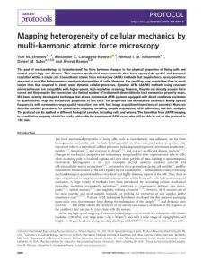 nprot.2018-Mapping heterogeneity of cellular mechanics by multi-harmonic atomic force microscopy