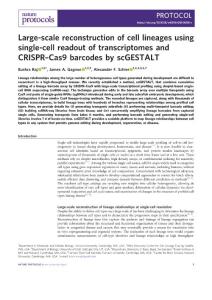 nprot.2018-Large-scale reconstruction of cell lineages using single-cell readout of transcriptomes and CRISPR–Cas9 barcodes by scGESTALT