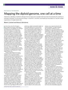 nsmb.2018-Mapping the diploid genome, one cell at a time