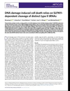 nsmb.2018-DNA damage-induced cell death relies on SLFN11-dependent cleavage of distinct type II tRNAs