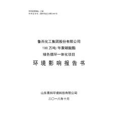 鲁西化工集团股份有限公司100万吨年聚碳酸酯绿色循环一体化项目 环境影响报告书