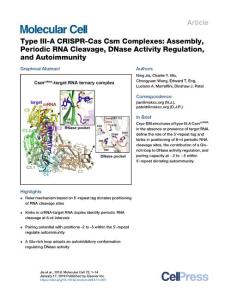 Type-III-A-CRISPR-Cas-Csm-Complexes--Assembly--Periodic-RNA-Cle_2018_Molecul