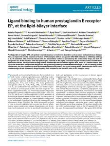 nchembio.2018-Ligand binding to human prostaglandin E receptor EP4 at the lipid-bilayer interface