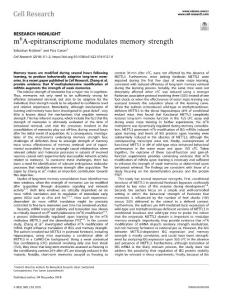 cr.2018-m6A-epitranscriptome modulates memory strength