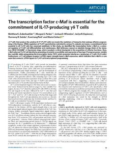 ni.2018-The transcription factor c-Maf is essential for the commitment of IL-17-producing γδ T cells