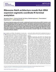 nsmb.2018-Ribosome–NatA architecture reveals that rRNA expansion segments coordinate N-terminal acetylation