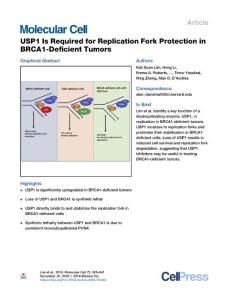 USP1-Is-Required-for-Replication-Fork-Protection-in-BRCA1-D_2018_Molecular-C