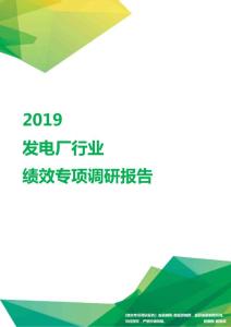 2019发电厂行业绩效专项调研报告.pdf