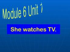 外研版（一起）第三册Module 6《Unit 1 She watches TV》ppt课件