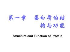 第一章  蛋白质的结构与功能