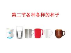 部编苏教版小学二年级下册科学《2.各种各样的杯子》PPT12张课件