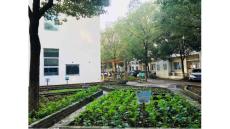 部编苏教版小学二年级下册科学《寻找土壤中的小动物》PPT课件12