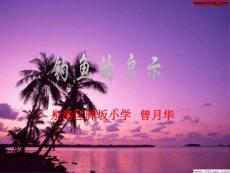 vtr[一年级语文]钓鱼的启示课件