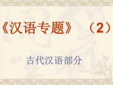 汉语专题_中学教育-中考