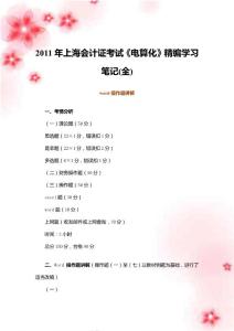 2011年上海会计证考试《电算化》精编学习笔记(全)