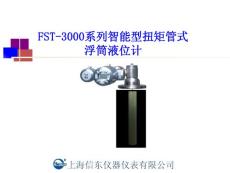4、FST-3000智能型扭矩管式浮筒浮液位计201010