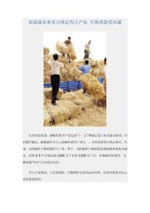 新能源未来重点锁定四大产业 生物质能领风骚