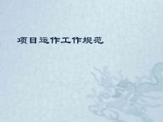 项目运作工作规范