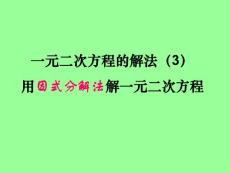 (人教版)22.2.3用因式分解法解一元二次方程