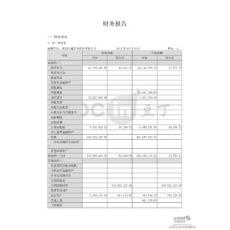 ST 大通：2011年半年度财务报告