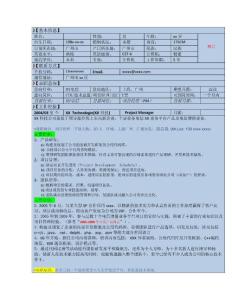 IT电信业项目经理