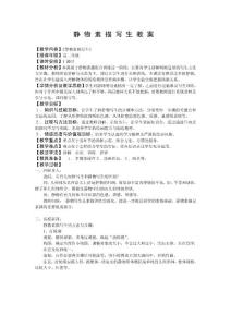 静物素描教案