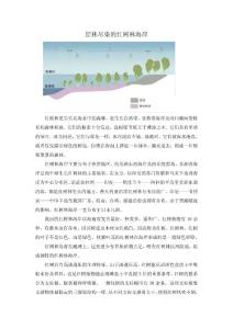 层林尽染的红树林海岸策划案